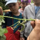 EKOPROGRAM