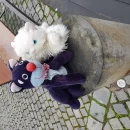 PUTOVÁNÍ PO OLOMOUCI S KOČKOU OLOU