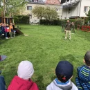 DRAVCI VE ŠKOLCE