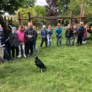 DRAVCI VE ŠKOLCE