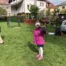 DRAVCI VE ŠKOLCE