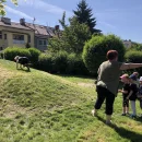 Dětský den na zahrádce