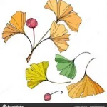 BOTANICKÁ ZAHRADA